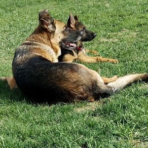 Meet your Posher, Tracy